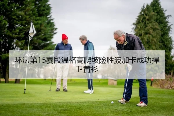 huan-fa-di-sai-duan-wen-ge-gao-pa-po-xian-sheng-bo-jia-ka-cheng-gong-han-wei-huang-shan-2-862.jpg